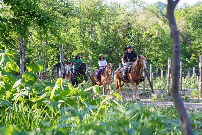 Horseback-Riding in a Country Side in Sapporo - Private Transfer is Included - What Past Travelers Say