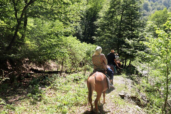Horseback Riding in Azerbaijan - FAQ