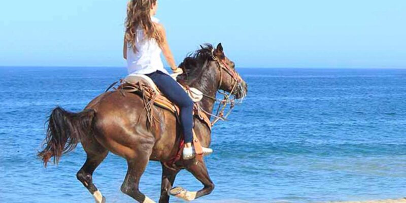 Horseback riding in Boavista for beginners - Exploring Horseback Riding in Boavista for Beginners: A Practical Review