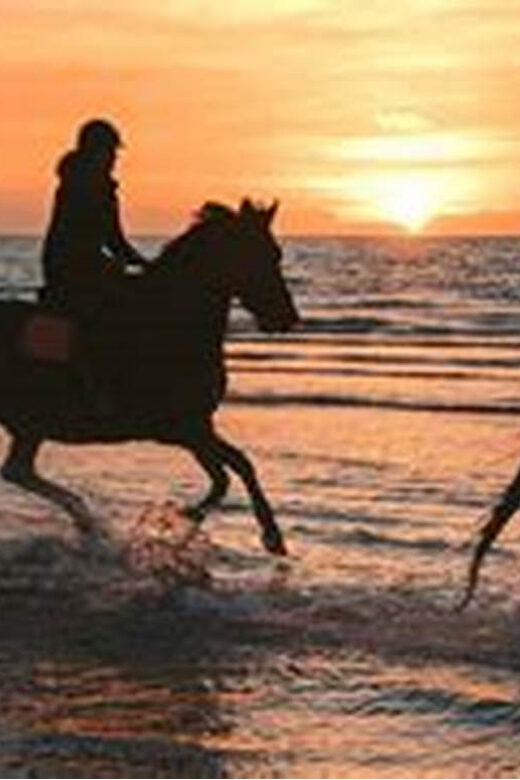 Horseback riding in Boavista for beginners - An In-Depth Look at the Horseback Riding Experience in Boavista