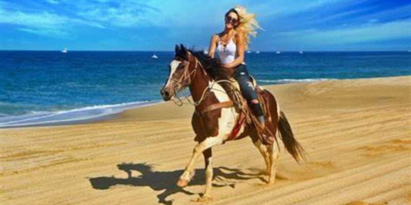 Horseback riding in Boavista for beginners - Final Thoughts: Is This Experience Worth It?
