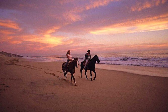 Horseback Riding in Djerba Lagoon - An Introduction to the Djerba Horseback Experience