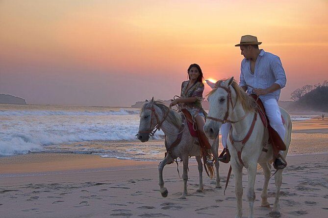 Horseback Riding in Djerba Lagoon - The Authentic Touch: Villages and Lagoon Crossing