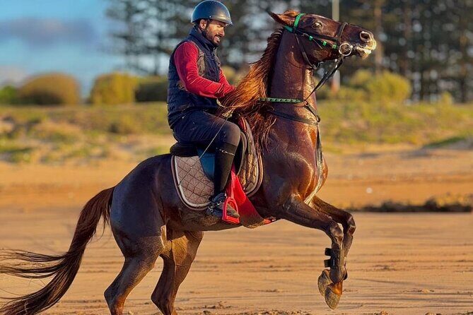 Horseback riding in Haouzia - Horseback Riding in Haouzia: A Genuine Encounter with Nature and Equines