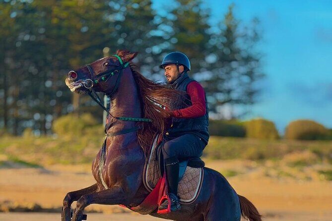 Horseback riding in Haouzia - What to Expect from Your Horseback Riding Adventure