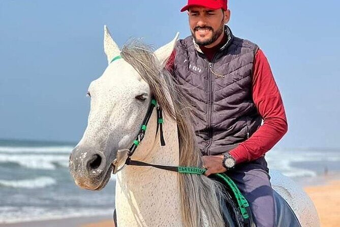 Horseback riding in Haouzia - Who Should Consider This Experience?