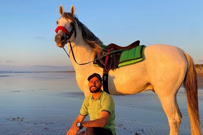 Horseback riding in Haouzia - FAQ: Your Horseback Riding Questions Answered