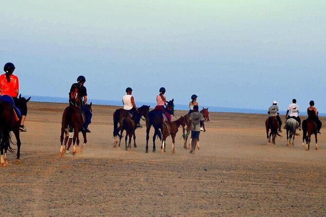 Horseback riding in Marsa Alam and Port Ghalib - Why This Tour Offers Good Value