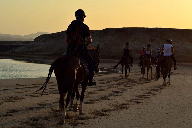 Horseback riding in Marsa Alam and Port Ghalib - Who Will Appreciate This Experience?