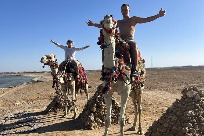 Horseback riding in Marsa Alam and Port Ghalib - The Sum Up: Is It Worth It?