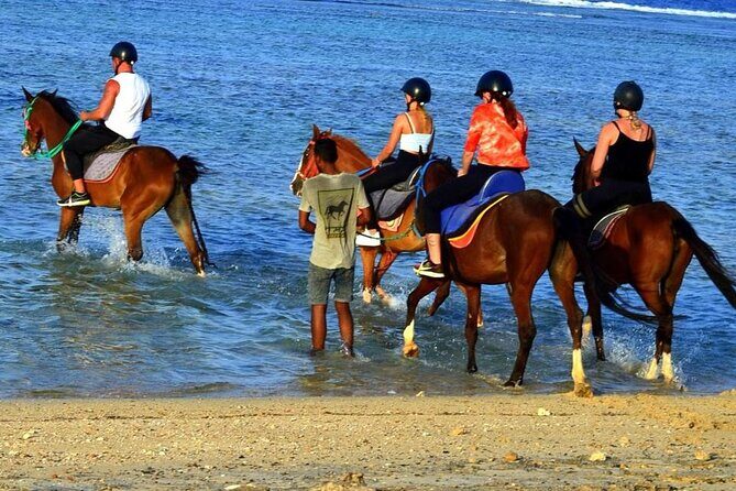 Horseback riding in Marsa Alam and Port Ghalib - FAQ