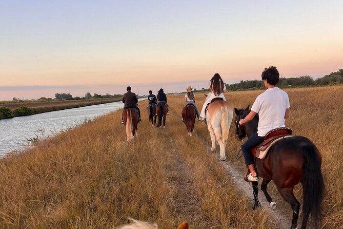 Horseback Riding in Miami - An In-Depth Look at the Miami Horseback Riding Tour