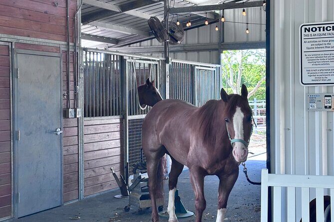 Horseback Riding in Miami - Frequently Asked Questions
