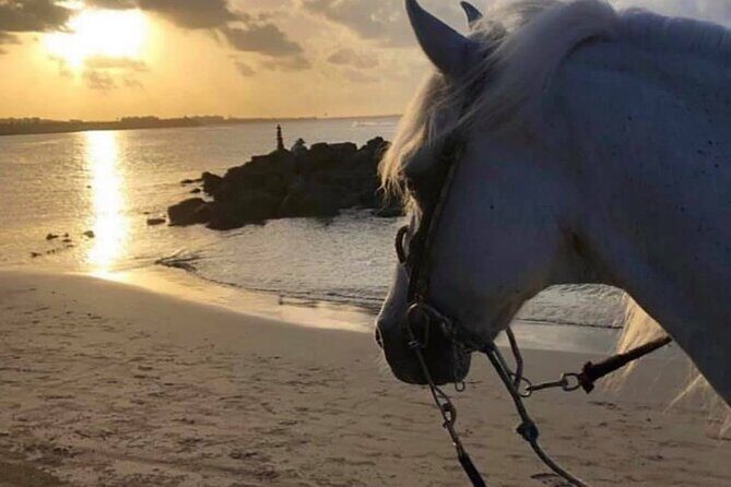 Horseback Riding in Sayulita Through Jungle Trails to the Beach - The Sum Up
