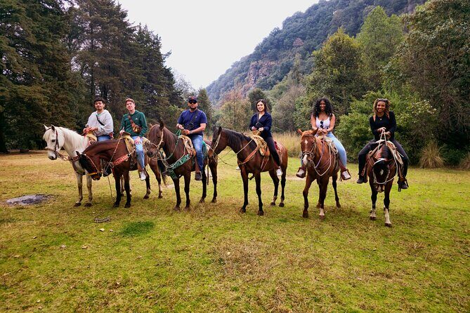 Horseback Riding in the Forest and Breakfast in Cabin - Who Will Love This Experience?