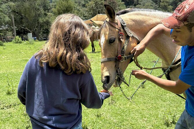 Horseback Riding in the Forest and Breakfast in Cabin - Final Thoughts