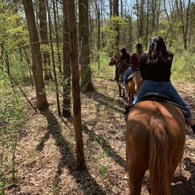 Horseback Riding in the Guanajuato Hills - The Sum Up