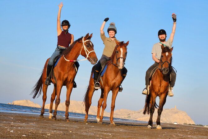 Horseback Riding Muscat Beach - Key Points
