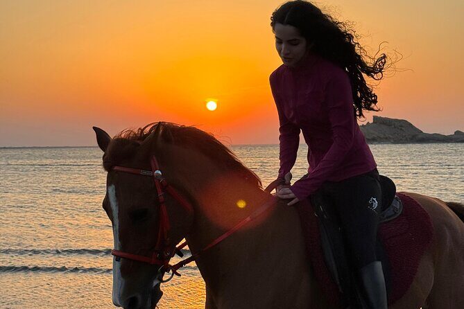 Horseback Riding Muscat Beach - What to Expect from Your Beach Horseback Ride