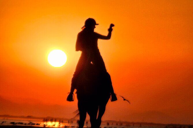 Horseback Riding Muscat Beach - Who Should Consider This Experience?