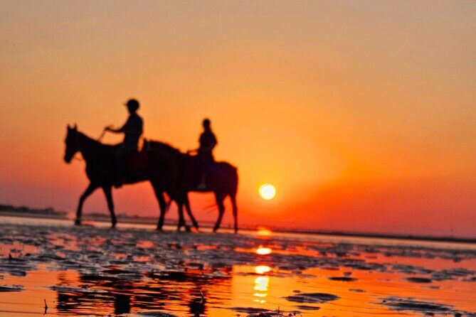 Horseback Riding Muscat Beach - The Sum Up