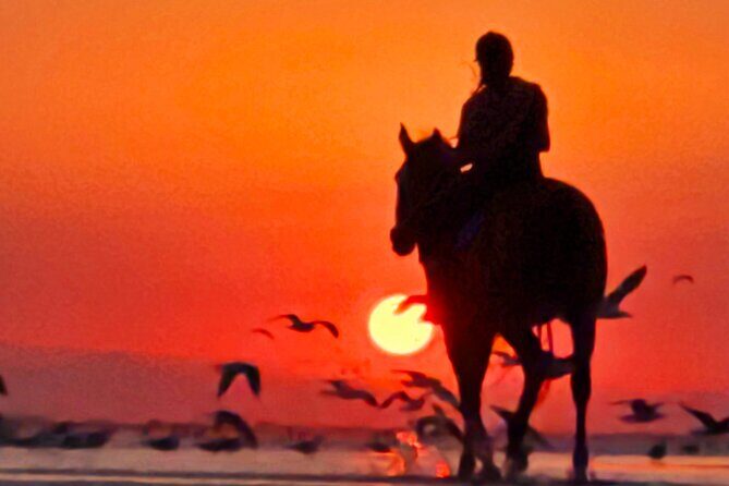 Horseback Riding Muscat Beach - FAQs