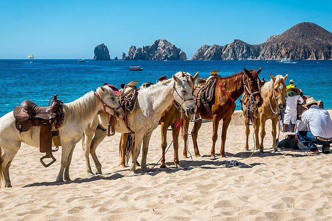 Horseback Riding on The Beach and Through The Desert! - Group Size and Personal Safety