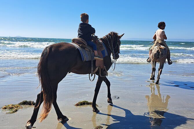 Horseback Riding on the Beach from Ensenada - The Itinerary in Detail