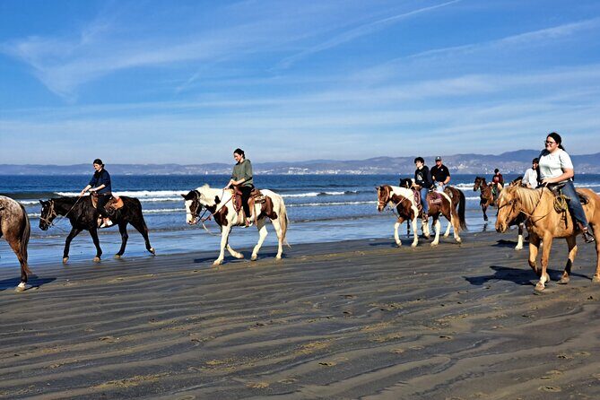 Horseback Riding on the Beach from Ensenada - What Past Travelers Say