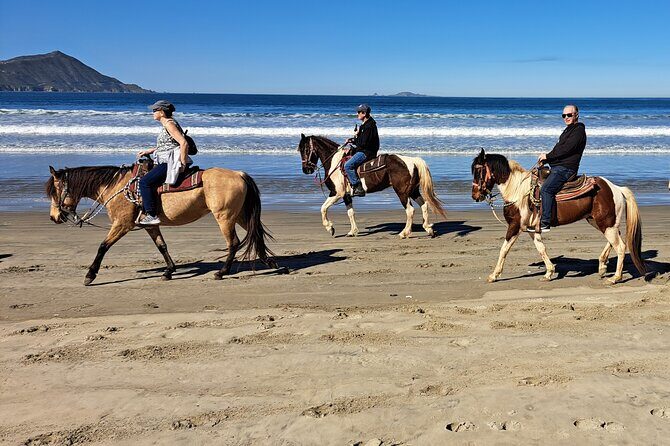 Horseback Riding on the Beach from Ensenada - Practical Tips for Participants