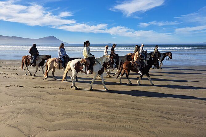 Horseback Riding on the Beach from Ensenada - The Sum Up
