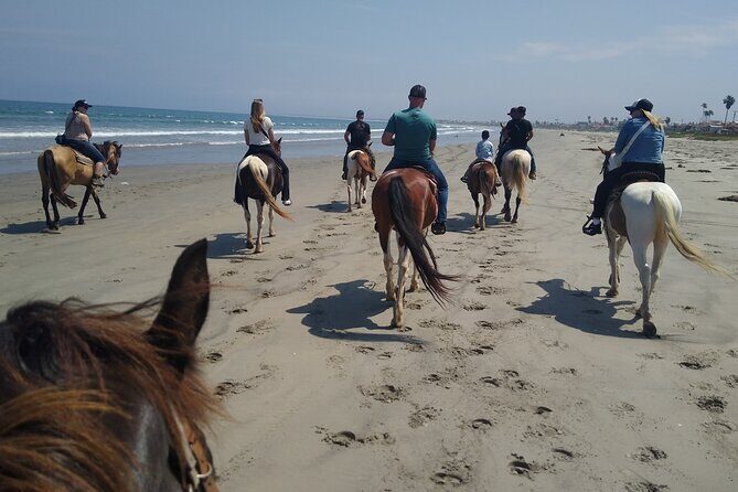 Horseback Riding on the Beach from Ensenada - FAQs