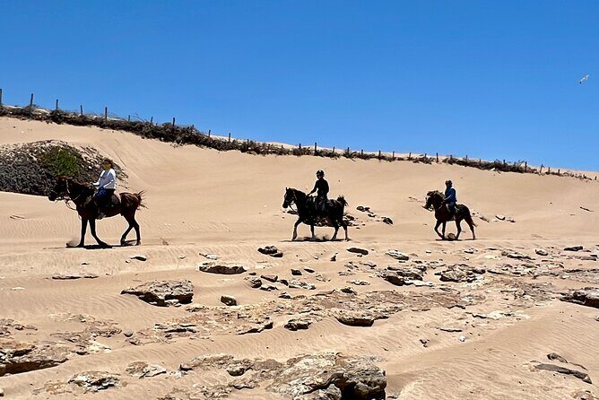 Horseback Riding On The Beach Of Essaouira - Who Will Love This Tour?