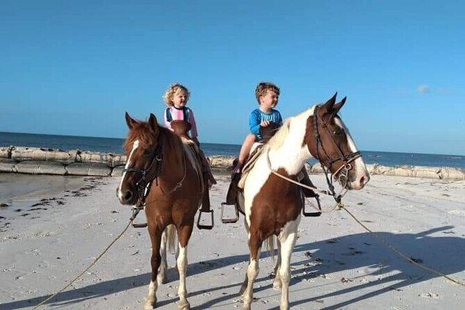 Horseback Riding on the Beaches of Holbox - An In-Depth Look at Horseback Riding on Holbox
