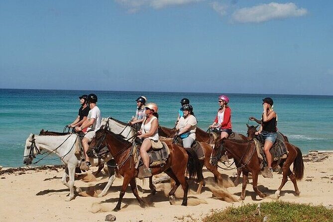 Horseback Riding on the Beaches of Punta Cana - Key Points