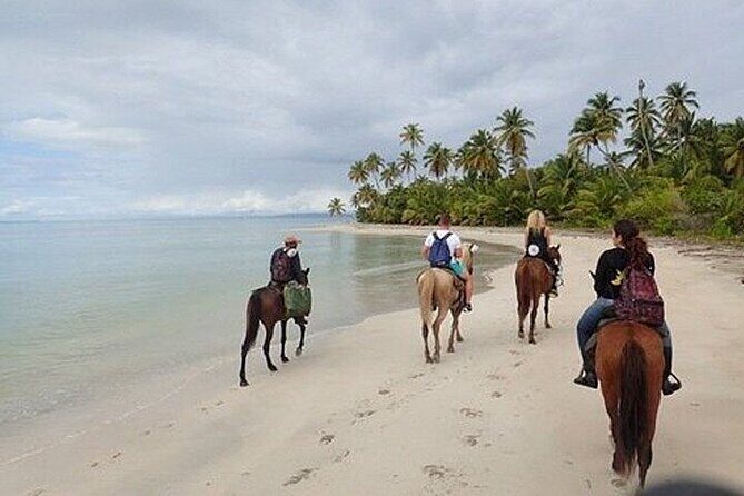 Horseback Riding on the Beaches of Punta Cana - FAQ