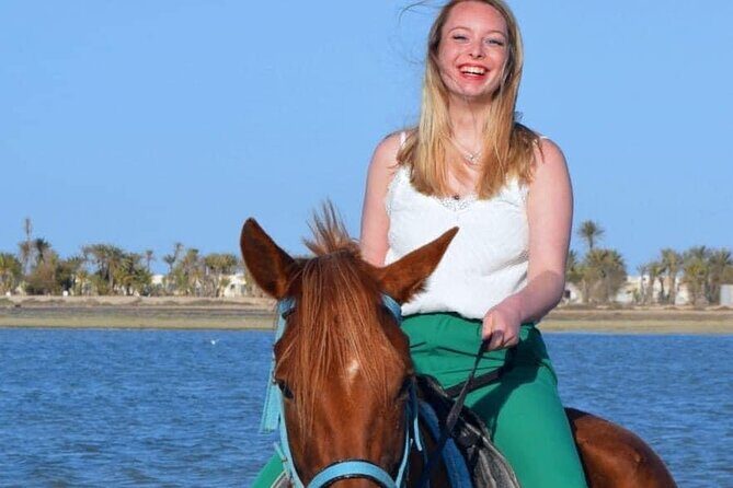 Horseback riding or camel at sunset in Djerba - Overview of the Experience
