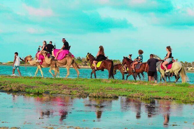 Horseback riding or camel at sunset in Djerba - The Sum Up