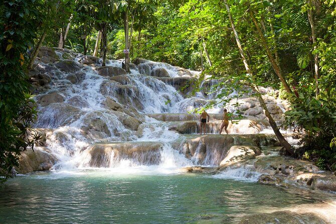 Horseback Riding plus Dunns River Falls Combo Private Tour - A Deep Dive into the Experience