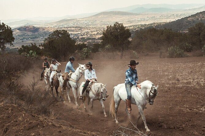 Horseback Riding through Mexican Haciendas - The Sum Up
