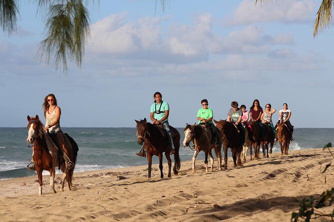 Horseback Riding through Secluded Beaches and Tropical Forests - Horseback Riding through Secluded Beaches and Tropical Forests