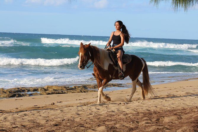 Horseback Riding through Secluded Beaches and Tropical Forests - An In-Depth Look at the Experience
