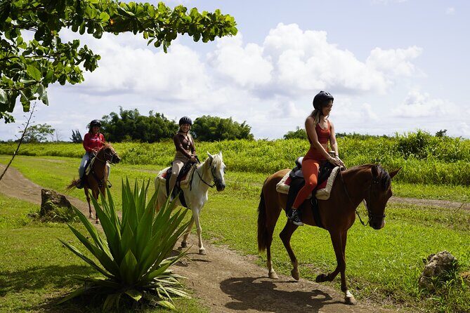 Horseback Riding Tour at Private Ranch - Key Points