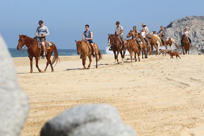 Horseback Riding Tour in Cabo San Lucas - Introduction
