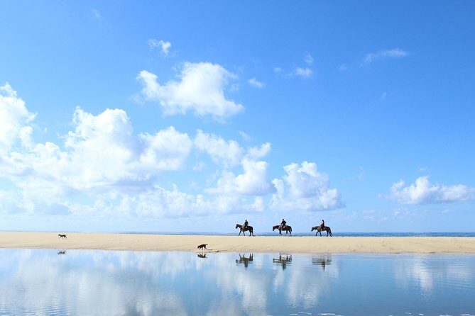 Horseback Riding Tour in Cabo San Lucas - Key Points