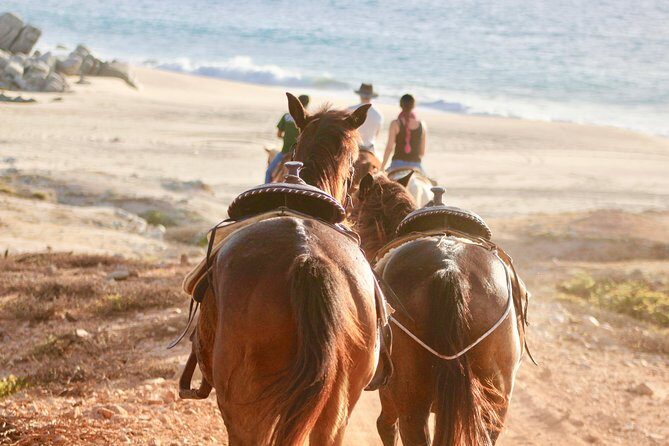Horseback Riding Tour in Cabo San Lucas - What’s Included and What’s Not