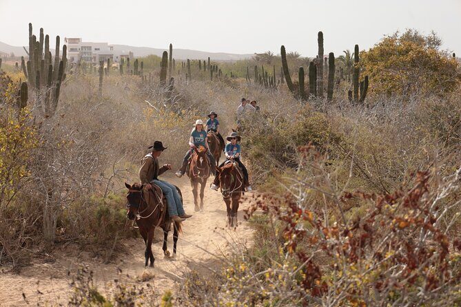 Horseback Riding Tour in Cabo San Lucas - The Experience Beyond the Ride