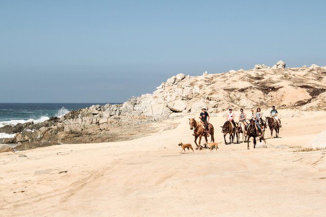 Horseback Riding Tour in Cabo San Lucas - Final Thoughts