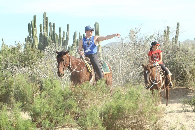 Horseback Riding Tour in Cabo San Lucas - The Sum Up