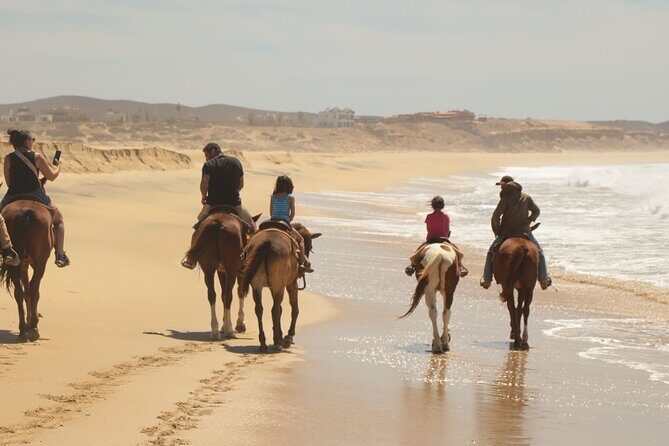 Horseback Riding Tour in Cabo San Lucas - FAQ